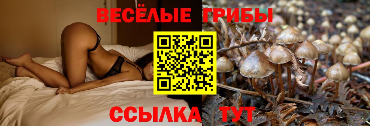 Серпухов  Галлюциногенные грибы MAGIC MUSHROOMS  Вход с VPN  Псилоцибиновые грибы Magic Shrooms 